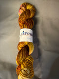 Dream in color -Riley