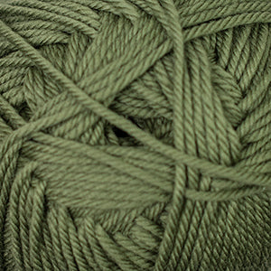 Cascade 220 superwash merino