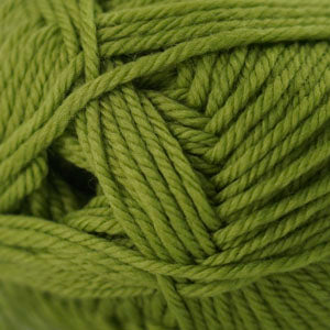 Cascade 220 superwash merino