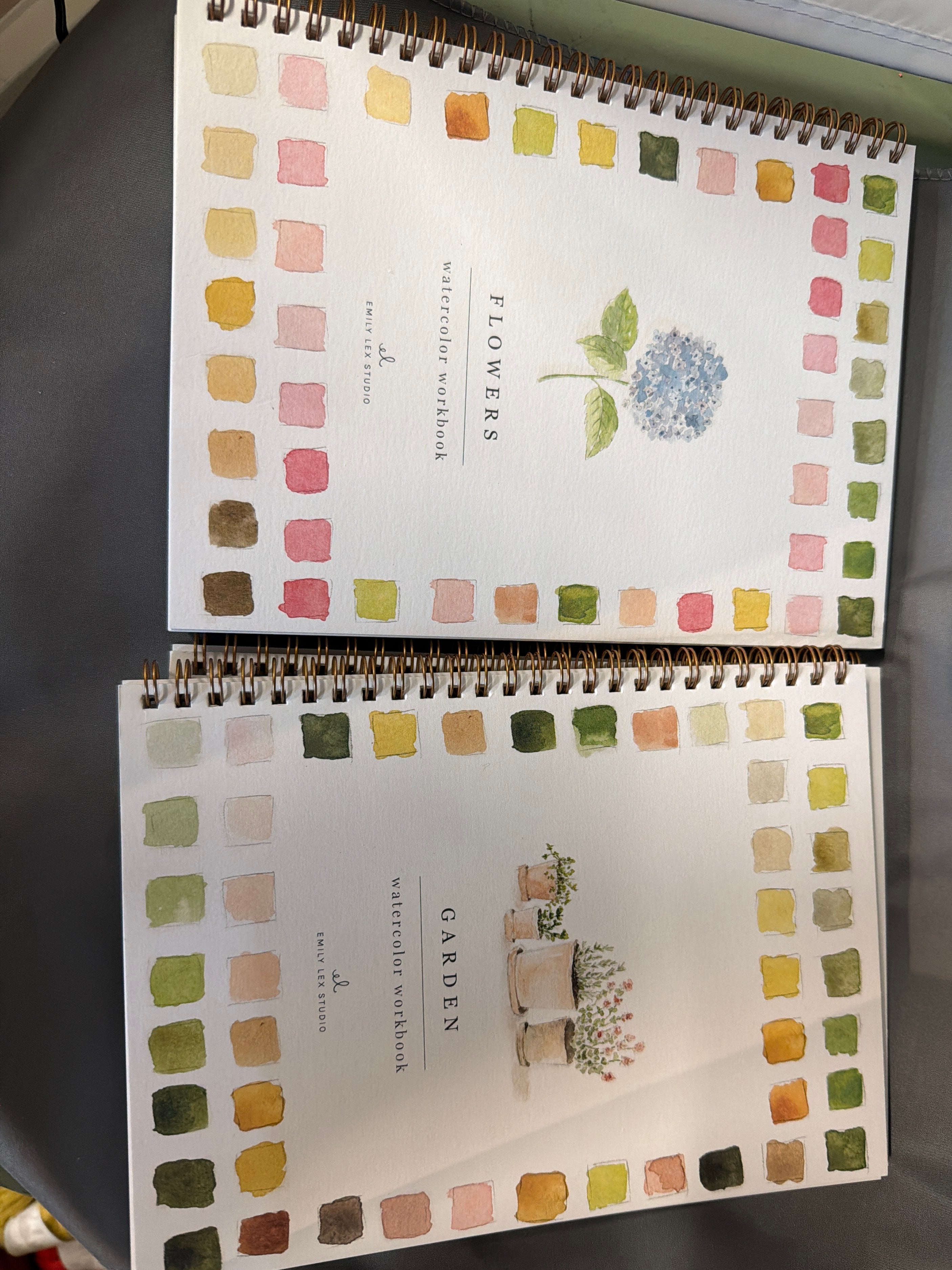 Emily lex studio watercolor workbook