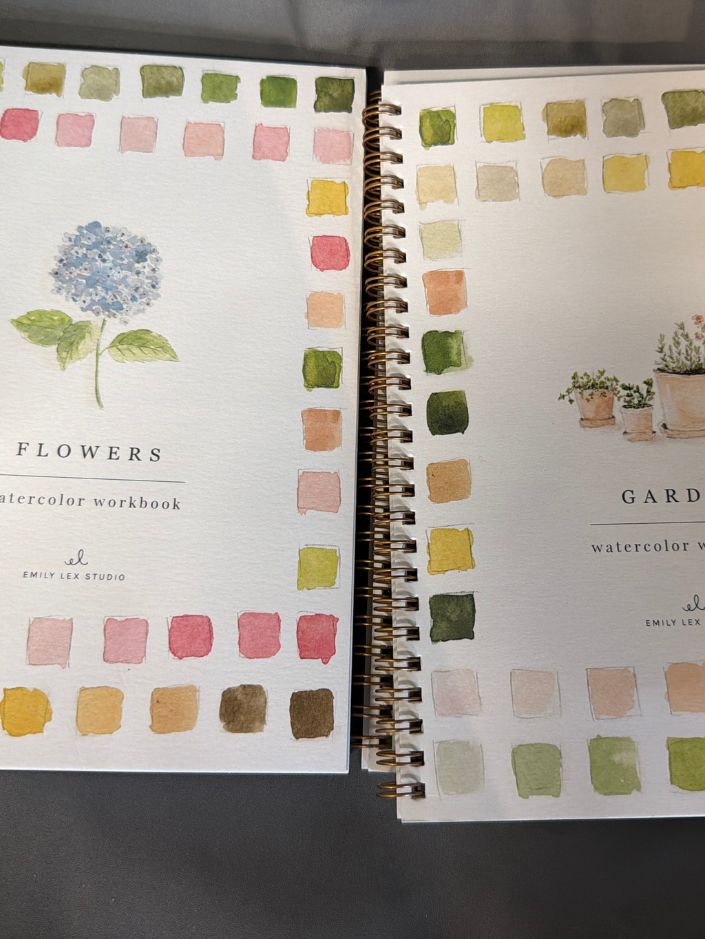 Emily lex studio watercolor workbook