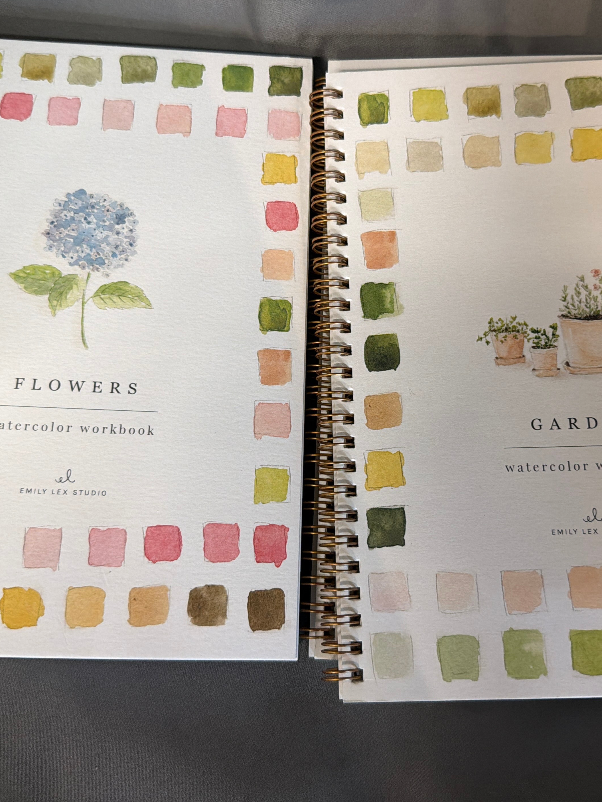Emily lex studio watercolor workbook