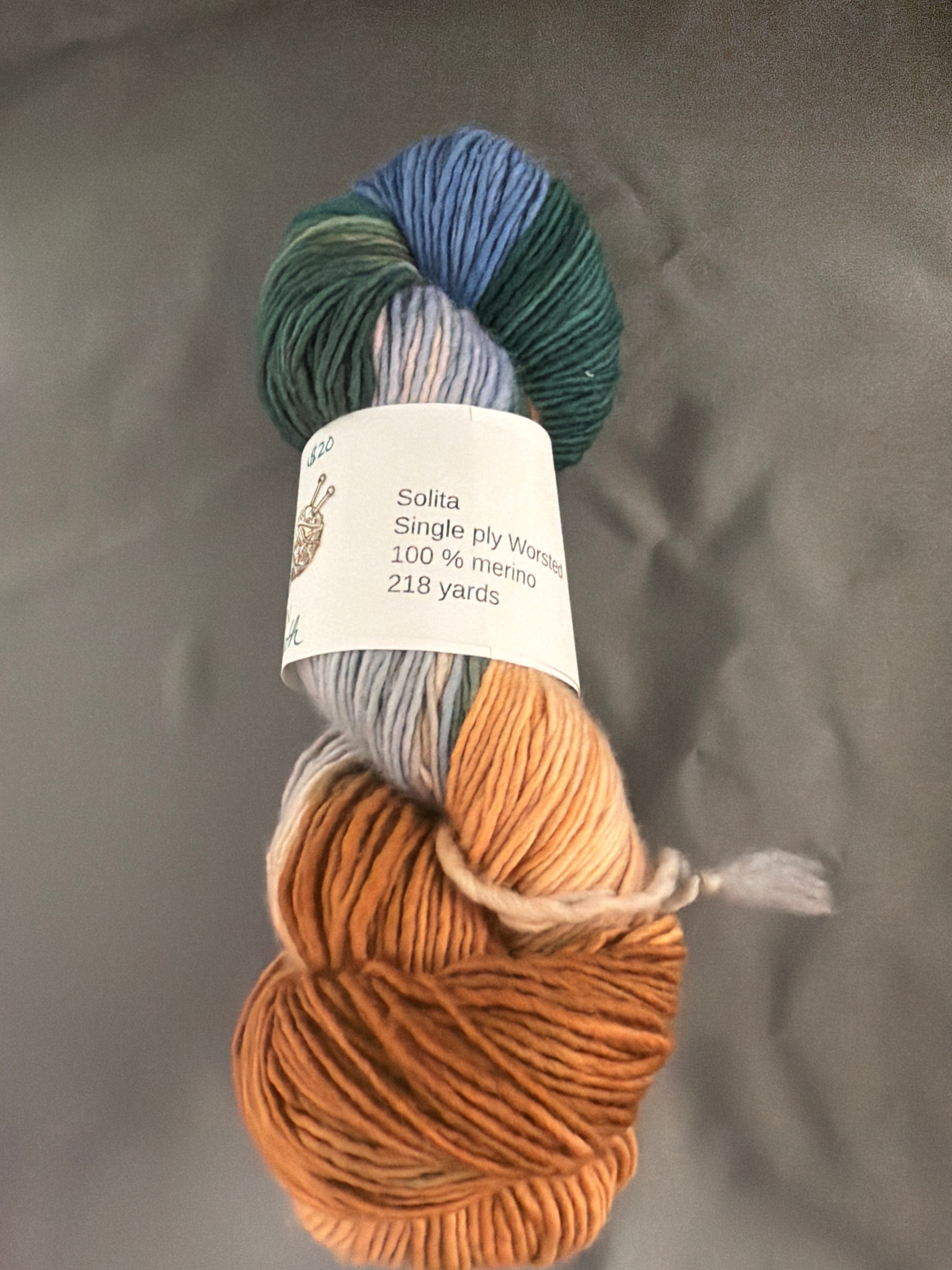 Echoes of earth hand dyed yarn